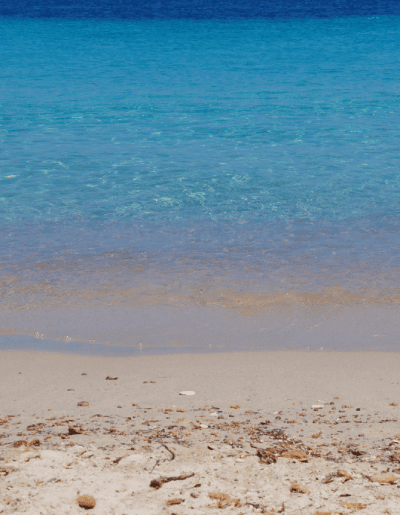 vue sur la mer et la plage pendant un séjour au camping à Palombaggia